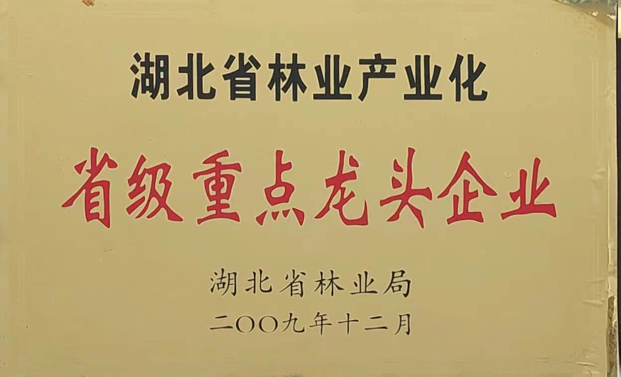 省林業(yè)產(chǎn)業(yè)化重點龍頭企業(yè)（2009.12).jpg