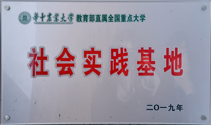 社會(huì)實(shí)踐基地.jpg